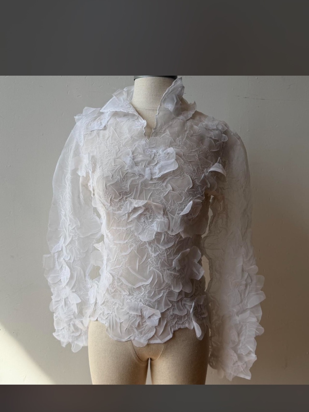 🦄 Vintage RARE Hugging kisses 💋 Sheer White Petal Appliqué Blouse size 1